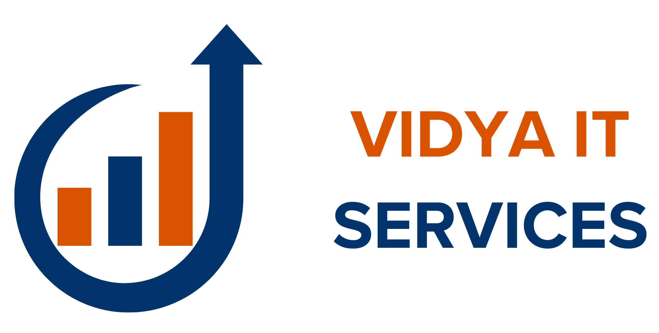 Vidya IT Service - Best Digital Marketing Agency